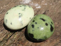 Polished Leopard Stone Palm Stones  x 12 From Zimbabwe - TopRock