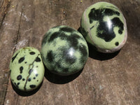 Polished Leopard Stone Palm Stones  x 12 From Zimbabwe - TopRock