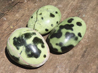 Polished Leopard Stone Palm Stones  x 12 From Zimbabwe - TopRock