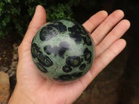 Polished Stromatolite / Kambamba Jasper Spheres  x 2 From Madagascar - TopRock