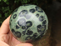 Polished Stromatolite / Kambamba Jasper Spheres  x 2 From Madagascar - TopRock