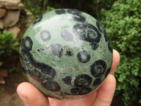 Polished Stromatolite / Kambamba Jasper Spheres  x 2 From Madagascar - TopRock