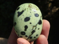 Polished Leopard Stone Palm Stones  x 12 From Zimbabwe - TopRock