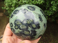 Polished Stromatolite / Kambamba Jasper Spheres  x 2 From Madagascar - TopRock