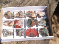 Natural Rough Bloodstone Cobbed Pieces  x 12 From Swaziland - TopRock