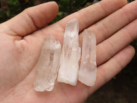 Natural Single Clear Quartz Crystals  x 69 From Madagascar - TopRock