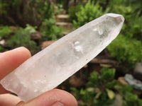 Natural Single Clear Quartz Crystals  x 69 From Madagascar - TopRock