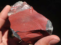 Natural Rough Bloodstone Cobbed Pieces  x 12 From Swaziland - TopRock