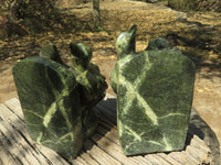 Polished Large Leopard stone Bird Book End Carvings  x 2 From Zimbabwe - TopRock