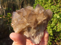 Natural Cascading Smokey Quartz Clusters x 6 From Luena, Congo