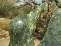 Polished Large Leopard stone Bird Book End Carvings  x 2 From Zimbabwe - TopRock