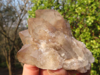 Natural Cascading Smokey Quartz Clusters x 6 From Luena, Congo