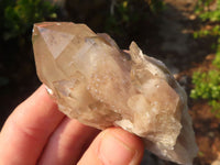 Natural Cascading Smokey Quartz Clusters x 6 From Luena, Congo