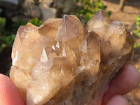 Natural Cascading Smokey Quartz Clusters x 6 From Luena, Congo