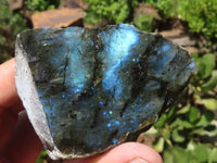 Polished One Side Polished Labradorite Slabs  x 6 From Madagascar - TopRock