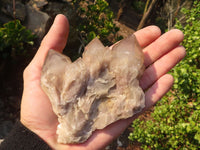 Natural Cascading Smokey Quartz Clusters x 6 From Luena, Congo