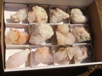 Natural White Cactus Flower Spirit Quartz Specimens x 12 From Boekenhouthoek, South Africa