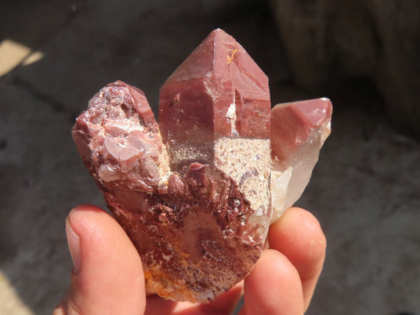 Natural Red Hematoid Quartz Specimens x 12 From Karoi, Zimbabwe