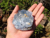 Natural Blue Celestite Crystal Specimens  x 3 From Sakoany, Madagascar - Toprock Gemstones and Minerals 