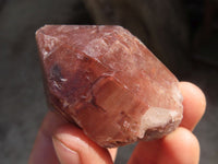 Natural Red Hematoid Quartz Specimens x 12 From Karoi, Zimbabwe