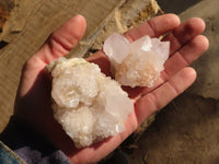 Natural White Cactus Flower Spirit Quartz Specimens x 12 From Boekenhouthoek, South Africa