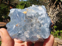 Natural Blue Celestite Crystal Specimens  x 3 From Sakoany, Madagascar - Toprock Gemstones and Minerals 