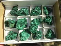 Natural Chatoyant Silky Malachite Specimens  x 12 From Kasompe, Congo - TopRock