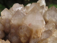 Natural Smokey Phantom Quartz Cluster With A Custom Made Metal Stand x 1 From Luena, Congo - TopRock