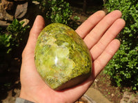 Polished Green Opal Standing Free Forms  x 3 From Madagascar - Toprock Gemstones and Minerals 