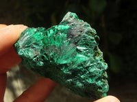 Natural Chatoyant Silky Malachite Specimens  x 12 From Kasompe, Congo - TopRock