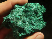 Natural Chatoyant Silky Malachite Specimens  x 12 From Kasompe, Congo - TopRock