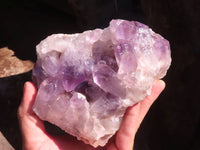 Natural Jacaranda Amethyst Clusters  x 2 From Zambia - Toprock Gemstones and Minerals 