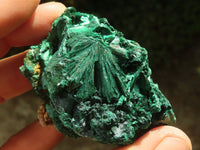 Natural Chatoyant Silky Malachite Specimens  x 12 From Kasompe, Congo - TopRock