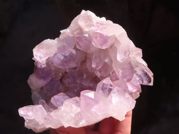 Natural Jacaranda Amethyst Clusters  x 2 From Zambia - Toprock Gemstones and Minerals 