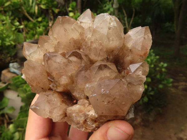 Natural White Phantom Smokey Quartz Clusters  x 2 From Luena, Congo - TopRock