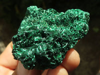 Natural Chatoyant Silky Malachite Specimens  x 12 From Kasompe, Congo - TopRock