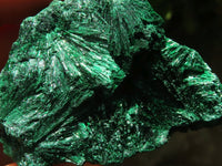 Natural Chatoyant Silky Malachite Specimens  x 12 From Kasompe, Congo - TopRock