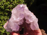 Natural Jacaranda Amethyst Clusters  x 2 From Zambia - Toprock Gemstones and Minerals 