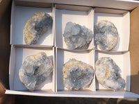 Natural Blue Celestite Crystal Specimens  x 6 From Sakoany, Madagascar