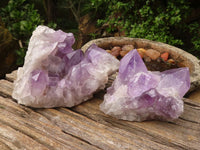 Natural Jacaranda Amethyst Clusters  x 2 From Mumbwa, Zambia - Toprock Gemstones and Minerals 