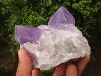 Natural Jacaranda Amethyst Clusters  x 2 From Mumbwa, Zambia - Toprock Gemstones and Minerals 