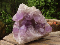 Natural Jacaranda Amethyst Clusters  x 2 From Mumbwa, Zambia - Toprock Gemstones and Minerals 