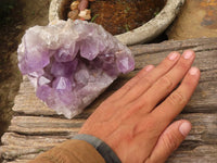 Natural Jacaranda Amethyst Clusters  x 2 From Mumbwa, Zambia - Toprock Gemstones and Minerals 