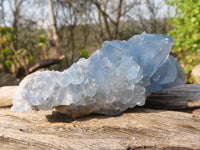 Natural Blue Celestite Crystal Specimens  x 6 From Sakoany, Madagascar