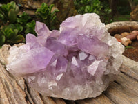 Natural Jacaranda Amethyst Clusters  x 2 From Mumbwa, Zambia - Toprock Gemstones and Minerals 