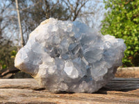 Natural Blue Celestite Crystal Specimens  x 6 From Sakoany, Madagascar