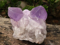 Natural Jacaranda Amethyst Clusters  x 2 From Mumbwa, Zambia - Toprock Gemstones and Minerals 