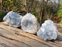 Natural Blue Celestite Crystal Specimens  x 6 From Sakoany, Madagascar