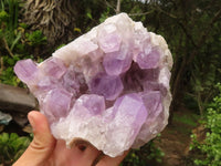 Natural Jacaranda Amethyst Clusters  x 2 From Mumbwa, Zambia - Toprock Gemstones and Minerals 