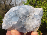 Natural Blue Celestite Crystal Specimens  x 6 From Sakoany, Madagascar